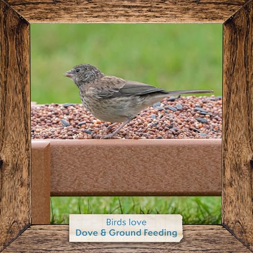 Dove & Ground Feeding Wild Bird Seed (12 Pound (Pack of 1))
