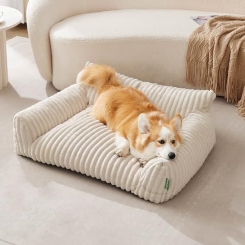 Cute Couch Bed for Pets (36.0"L x 27.0"W x 10.0"Th / Cream)