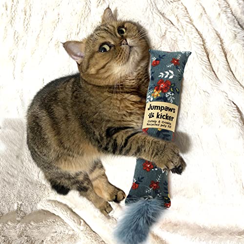 2 Pack Natural Interactive Catnip & Silvervine Cat Kicker with Feathers