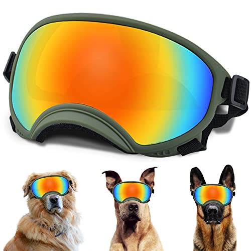 Large Dog Sunglasses