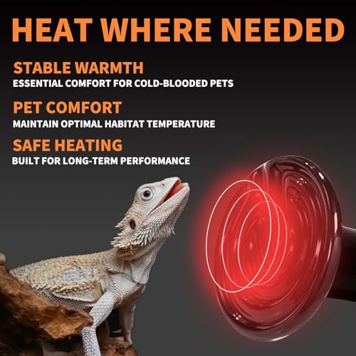 50W Reptile Heat Lamp (50 Watts)