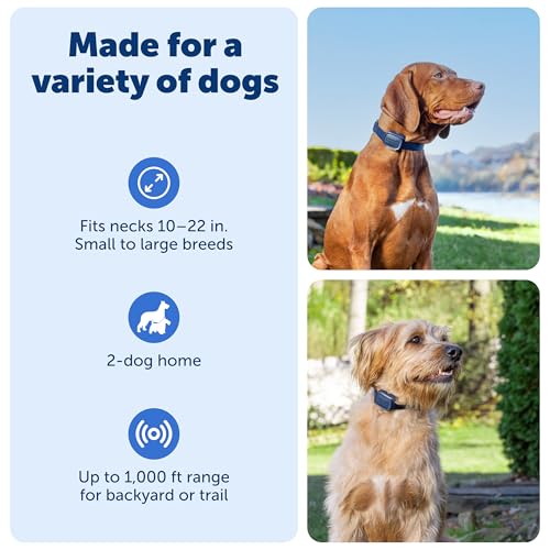 Core Dog Trainer with Remote and Add (2-Dog Trainer)
