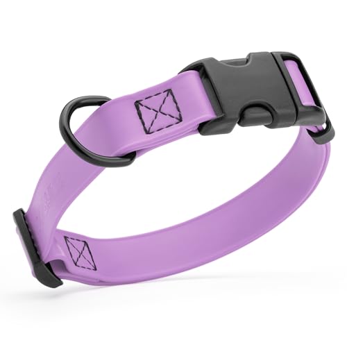 Biothane Waterproof Dog Collar with Quick Release Buckle Strong Coated Nylon Webbing with Odor (3/4"W by 12-19"L / Amethyst Purple)