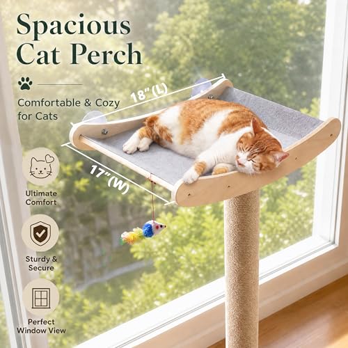 Cat Window Perch with Scratching Posts (Large)