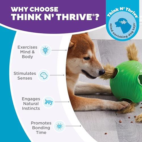 by Nina Ottosson Dog Snuffle N' Treat Ball Puzzle (Large)