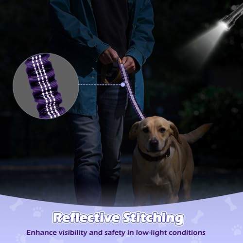 Bungee Dog Leash Extender (Black/Purple)