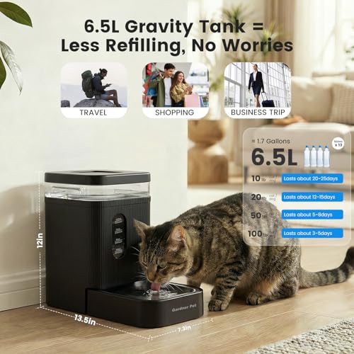 1.7 Gallon Automatic Dog Water Dispenser with Stainless Steel Bowl (Black / 1.7 Gallon)