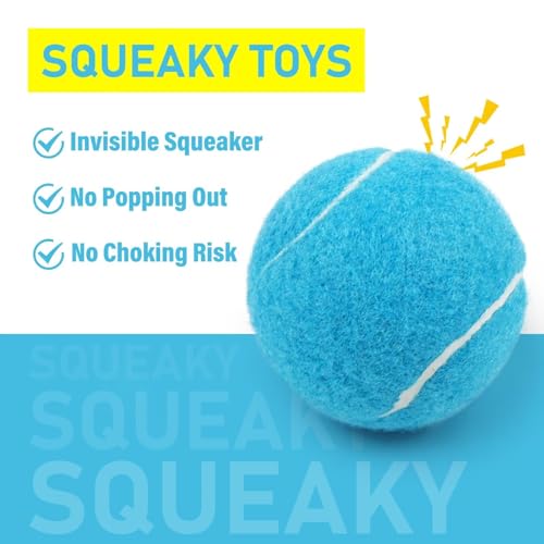 Dog Tennis Balls 3 Pack (2.5" Squeaky / 3 Pack, Blue)