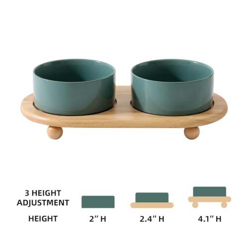 Raised Cat Bowl (Dark Green)