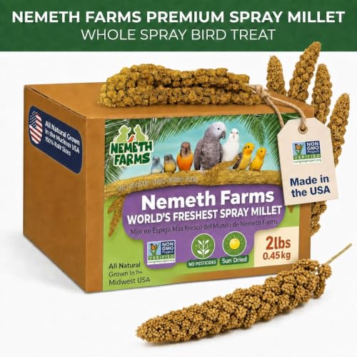 Spray Millet Edible Tops Only (2 Pound (Pack of 1))