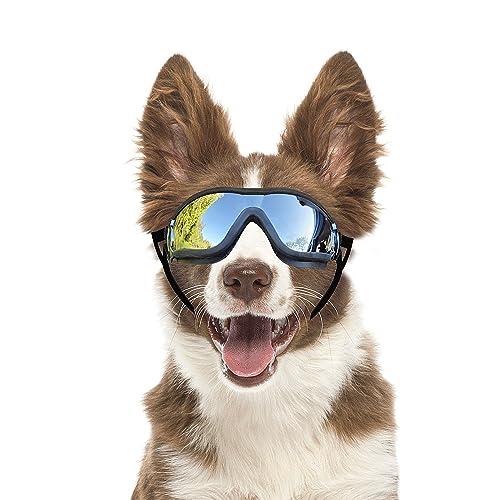 Dog Goggles Dog Sunglasses for Medium to Large Breed Anti (Large / Black)