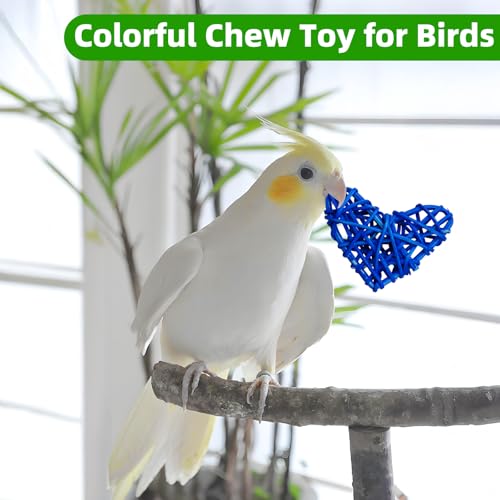 Bird Toys Colorful Birds Foraging & Shredded Toy Boxs