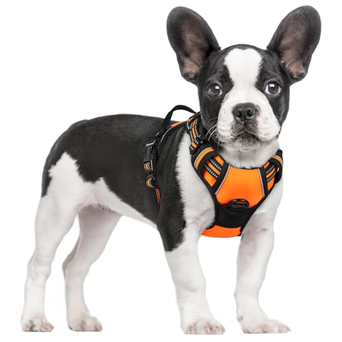 Dog Harness No Pull for Small Dogs with 2 Leash Clips (Small / Orange)