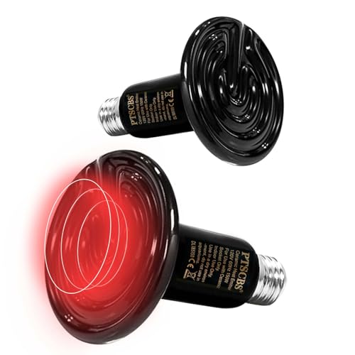 50W Reptile Heat Lamp (50 Watts)