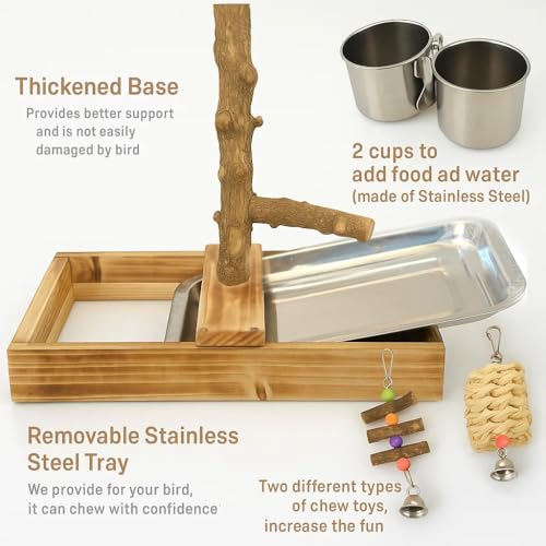Bird Perch Stand (Style B)