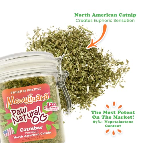 Paw Natural OG Jar