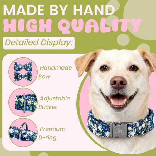 Blue Dog Collar (Daisy / Large (Pack of 1))