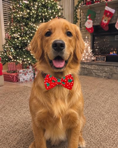 10 Pack Christmas Dog Bowties for Large Dogs Sliding on Collar (M/L)