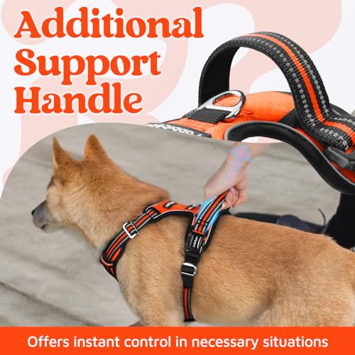 Dog Harness for Large (Orange / Large)