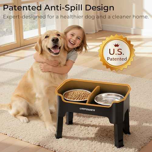 Mess Proof Elevated Dog Bowls (Black / Medium)