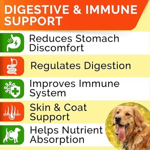 Dog Probiotics Chews for Digestive Health & Gut Support (Probiotic Chews / 240Ct (Chicken))