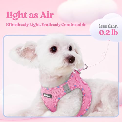 Dog Harness Small Sized and Leash Set (Pink & Plaid Trim / S (chest: 15.1 - 16.5"))