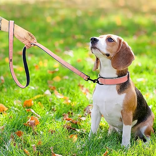 PU Leather Dog Collar and Leash Set (M: Neck 11-15", Width ¾" / Pink Set)