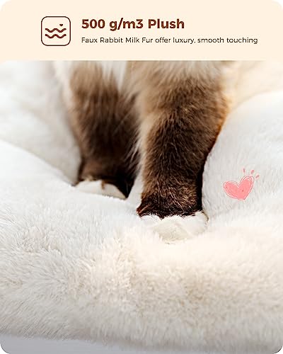 Cat Tree for Kittens