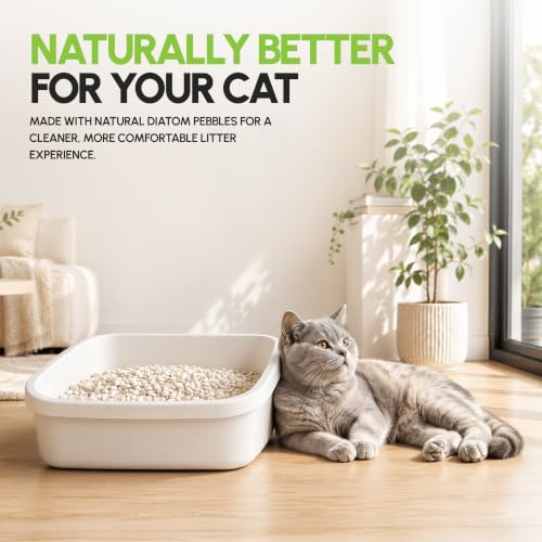 Original All Natural Cat Litter (3 Bags)