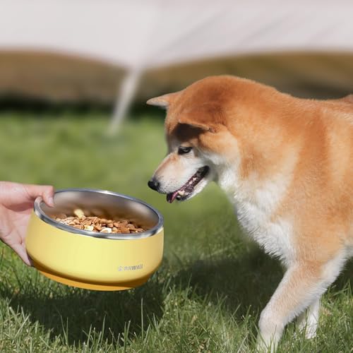 Dog Bowl 68 oz Stainless Steel Food and Water Bowl (68oz / Cheese Yellow)