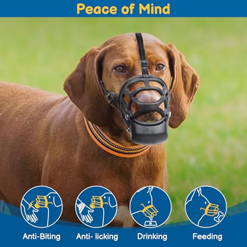Basket Muzzle for Dogs (Black / M)