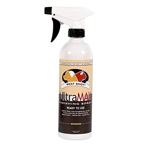 UltraMAX Pro Finishing Spray (Sweet Pea / 17 fl oz)