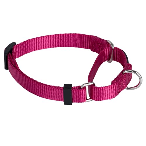 Martingale Dog Collar (Small / Rose Red)
