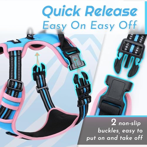 Dog Harness for Small Dogs (Small / Pink & Sky Blue)