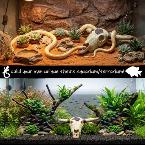 Fish Aquarium Tank Hideout Décor Decorations Bull Skull Tank Decor Cave Animal Large Reptile Bones Snake for Desert Terrarium Ornament (Buffalo-large)