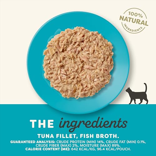 Tuna Fillet in Broth Wet Cat Food 12