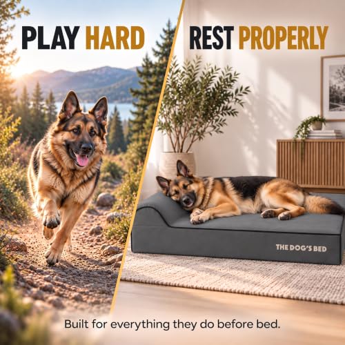 The Dog’s Bed Orthopedic Memory Foam Dog Bed with Headrest XL 6 (Grey with Black Trim / XL (46"L x 28"W x 6"Th))