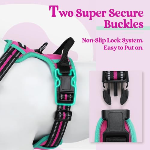 Dog Harness No Pull for Large Dogs with 2 Leash Clips (X-Large / Hot Pink & Turquoise)
