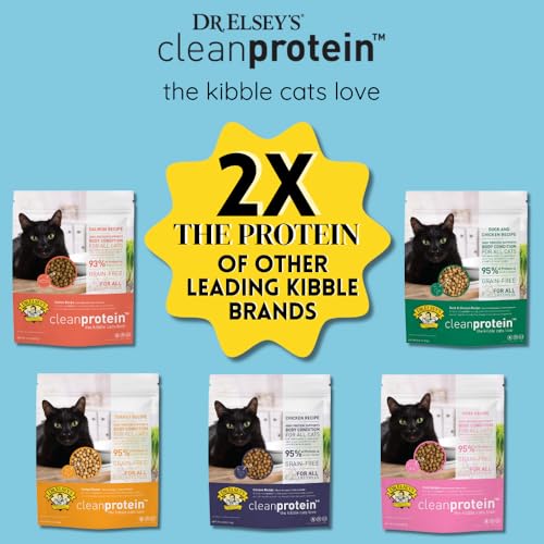 Cleanprotein Salmon Formula Dry Cat Food (2 Pound (Pack of 1))