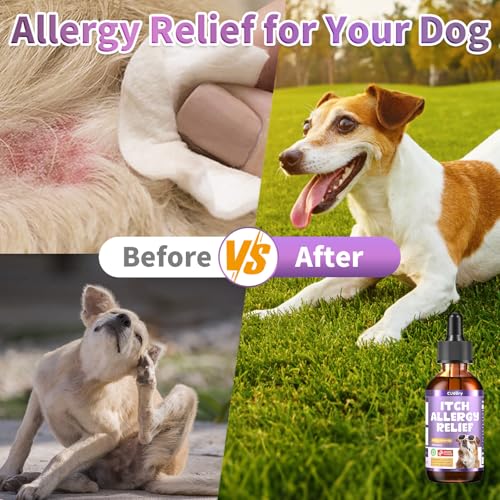 Dog Allergy Relief Drops
