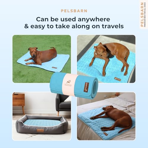 Dog Cooling Mat (Light Blue / Large)