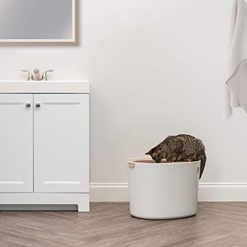 Large Top Entry Cat Litter Box (Top Entry / Biege)