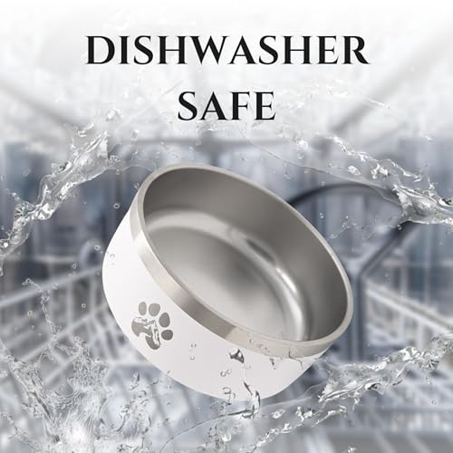 Stainless Steel Dog Bowl (Blue / 16oz)