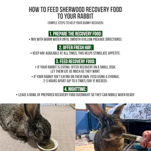 Rabbit Emergency kit and Bulk Recovery Food (6.35 Ounce (Pack of 1))