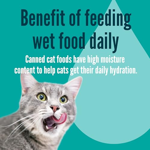 A Strong Heart Adult Cat Pate