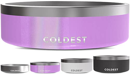 Coldest Dog Bowl (42 oz / Saturns Purple Glitter)