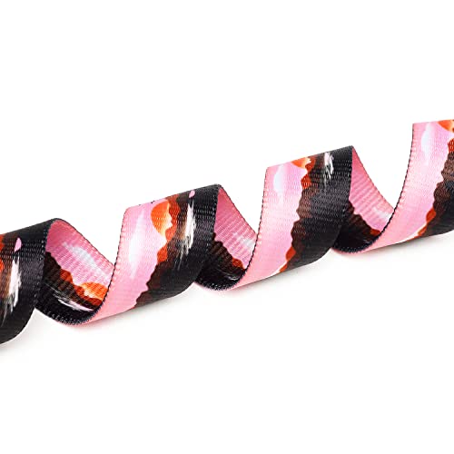 Adjustable Dog Collar (Small / Sunset)