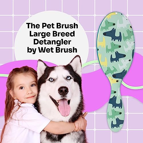 Pet Hair Brush