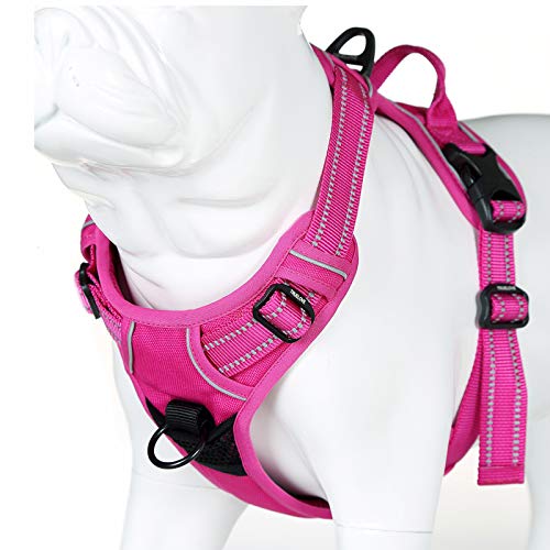 Truelove No Pull Dog Harness with Easy Control Handle and 2 Leash Attachments (Medium / Fuchsia)