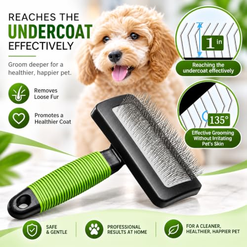 Dog Slicker Brush (Green)